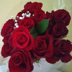 Meet your Posher, Carmen